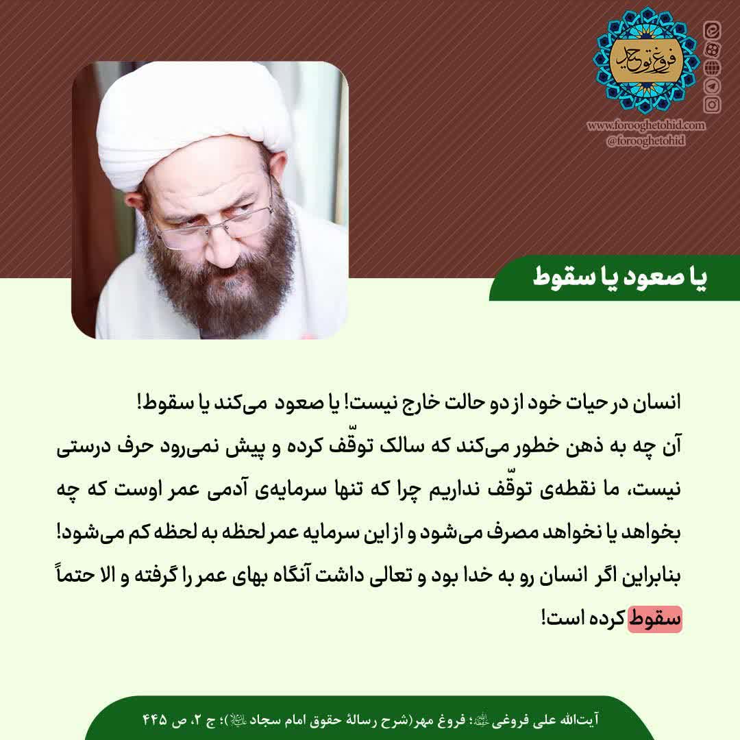 یا صعود یا سقوط